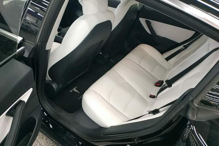 Used Tesla Model 3 2020 Standard Range Rear-Wheel Drive Upgraded Version Left Rear Seat