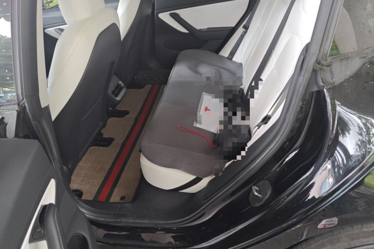 Used Tesla Model 3 2020 Revised Version Standard Range Rear-Wheel Drive – Upgraded Edition Left Rear Seat