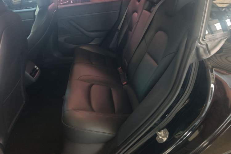 Used Tesla Model 3 2020 Revised Version Standard Range Rear-Wheel Drive – Upgraded Edition Left Rear Seat