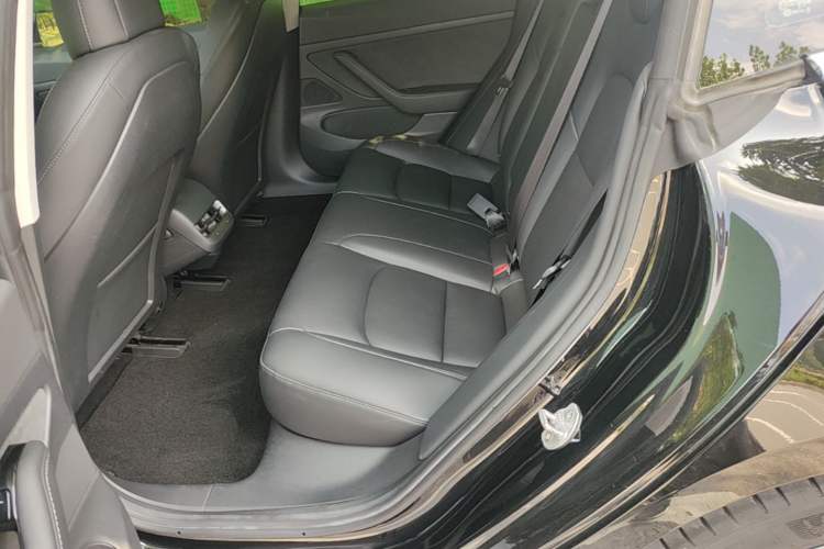 Used Tesla Model 3 2020 Revised Version Standard Range Rear-Wheel Drive – Upgraded Edition Left Rear Seat