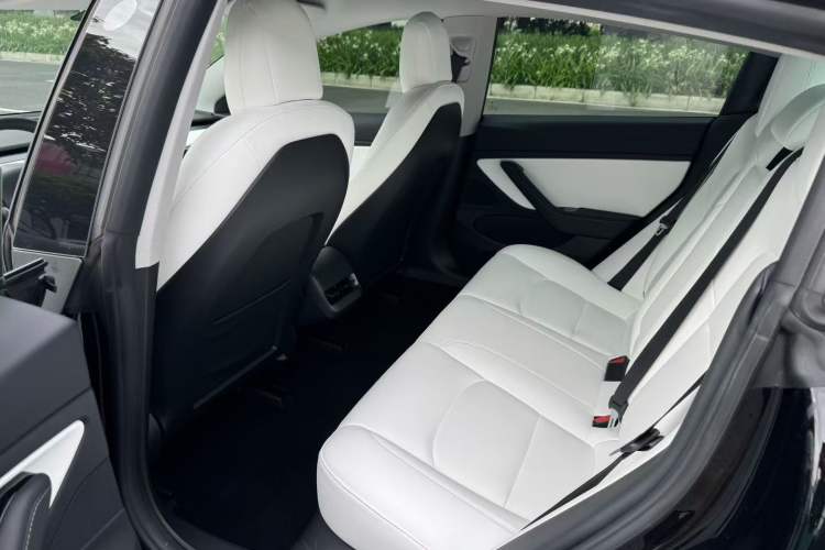 Used Tesla Model 3 2020 Long-Range Rear-Wheel-Drive Version Left Rear Seat
