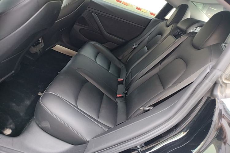 Used Tesla Model 3 2020 Standard Range Rear-Wheel Drive Upgraded Version Left Rear Seat