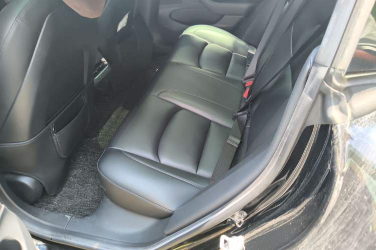 Used Tesla Model 3 2020 Standard Range Rear-Wheel Drive Upgraded Version Left Rear Seat