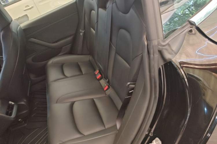 Used Tesla Model 3 2020 Standard Range Rear-Wheel Drive Upgraded Version Left Rear Seat