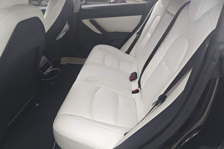 Used Tesla Model 3 2020 Revised Version Standard Range Rear-Wheel Drive – Upgraded Edition Left Rear Seat