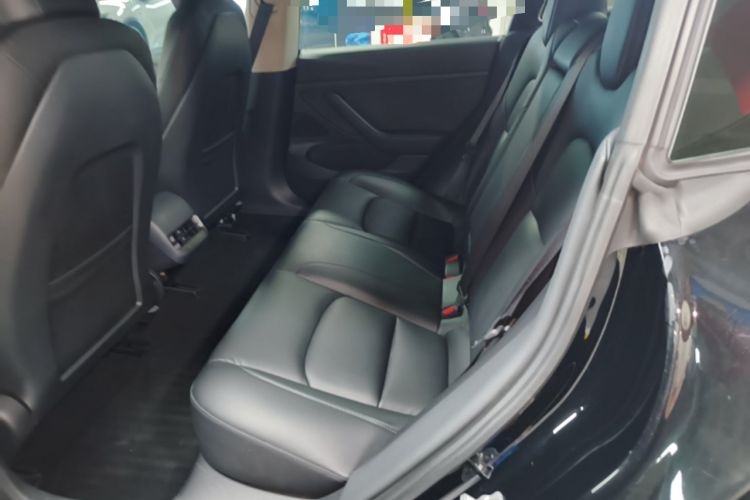 Used Tesla Model 3 2020 Standard Range Rear-Wheel Drive Upgraded Version Left Rear Seat