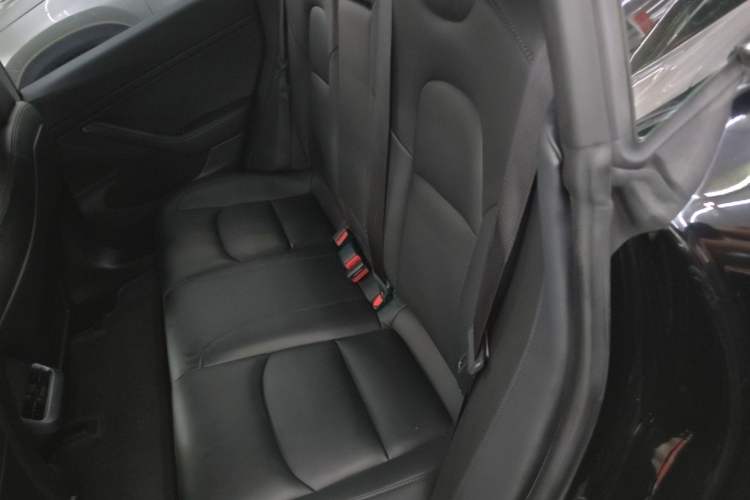 Used Tesla Model 3 2020 Refreshed Version Long-Range Rear-Wheel Drive Left Rear Seat