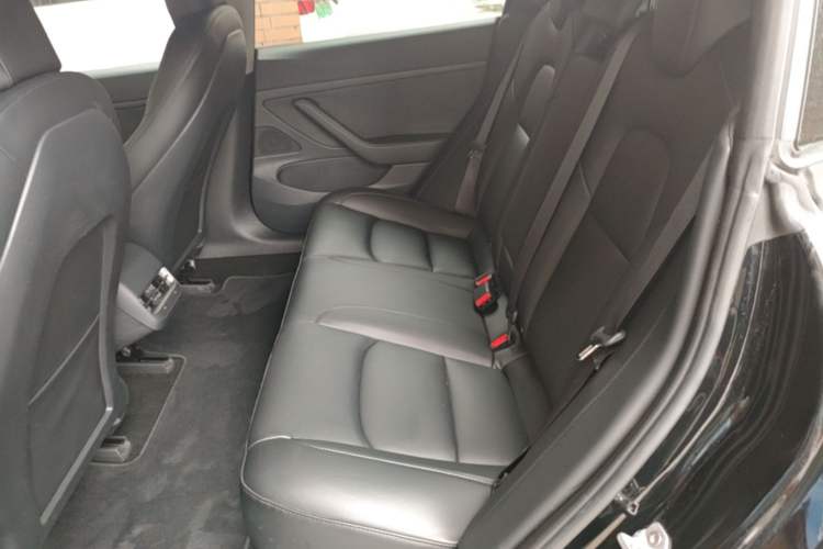 Used Tesla Model 3 2020 Refreshed Version Long-Range Rear-Wheel Drive Left Rear Seat