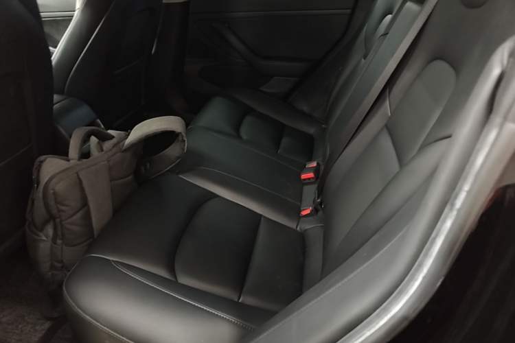 Used Tesla Model 3 2020 Standard Range Rear-Wheel Drive Upgraded Version Left Rear Seat