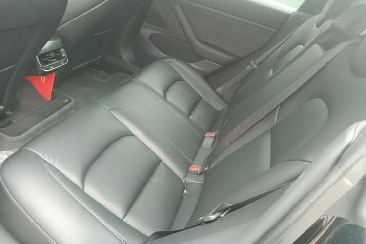 Used Tesla Model 3 2020 Standard Range Rear-Wheel Drive Upgraded Version Left Rear Seat