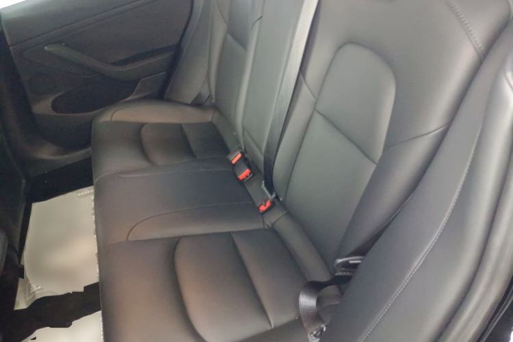 Used Tesla Model 3 2020 Revised Version Standard Range Rear-Wheel Drive – Upgraded Edition Left Rear Seat