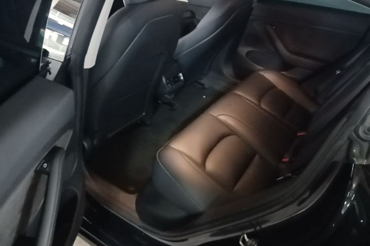 Used Tesla Model 3 2020 Revised Version Standard Range Rear-Wheel Drive – Upgraded Edition Left Rear Seat
