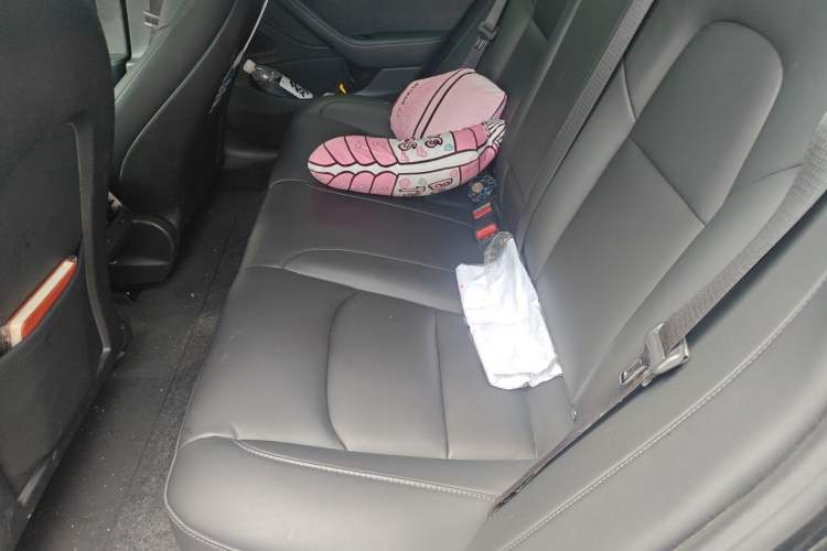 Used Tesla Model 3 2020 Revised Version Standard Range Rear-Wheel Drive – Upgraded Edition Left Rear Seat