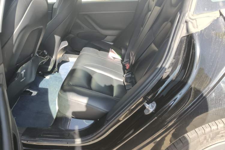 Used Tesla Model 3 2020 Revised Version Standard Range Rear-Wheel Drive – Upgraded Edition Left Rear Seat