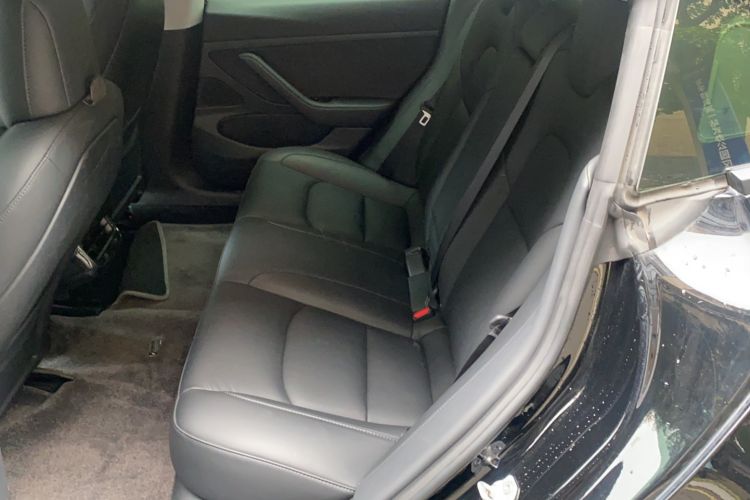 Used Tesla Model 3 2020 Revised Version Standard Range Rear-Wheel Drive – Upgraded Edition Left Rear Seat
