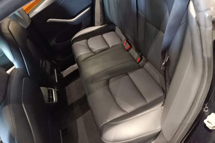 Used Tesla Model 3 2020 Revised Version Standard Range Rear-Wheel Drive – Upgraded Edition Left Rear Seat