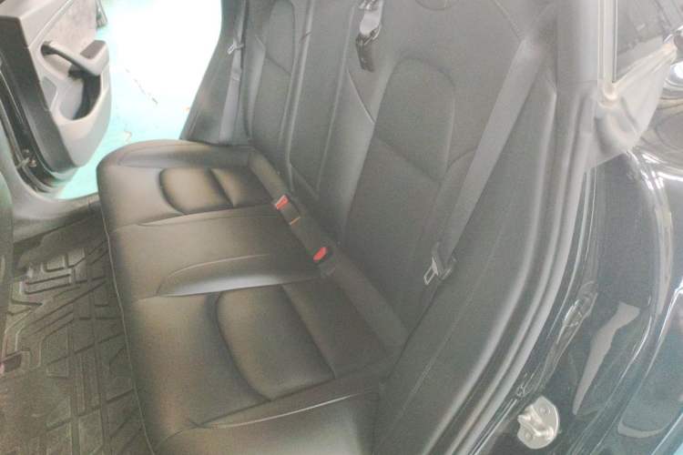 Used Tesla Model 3 2020 Revised Version Standard Range Rear-Wheel Drive – Upgraded Edition Left Rear Seat