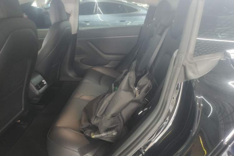 Used Tesla Model 3 2020 Revised Version Standard Range Rear-Wheel Drive – Upgraded Edition Left Rear Seat