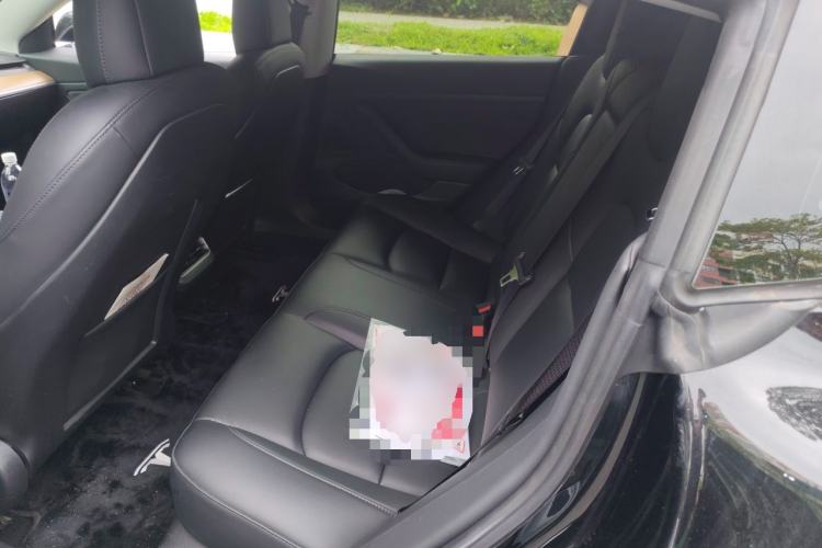 Used Tesla Model 3 2020 Revised Version Standard Range Rear-Wheel Drive – Upgraded Edition Left Rear Seat