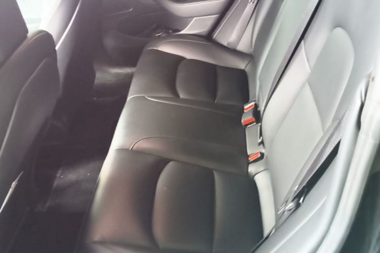 Used Tesla Model 3 2020 Long-Range Rear-Wheel-Drive Version Left Rear Seat