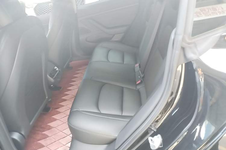Used Tesla Model 3 2020 Standard Range Rear-Wheel Drive Upgraded Version Left Rear Seat