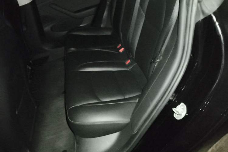 Used Tesla Model 3 2020 Revised Version Standard Range Rear-Wheel Drive – Upgraded Edition Left Rear Seat