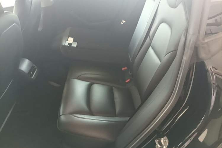 Used Tesla Model 3 2020 Standard Range Rear-Wheel Drive Upgraded Version Left Rear Seat