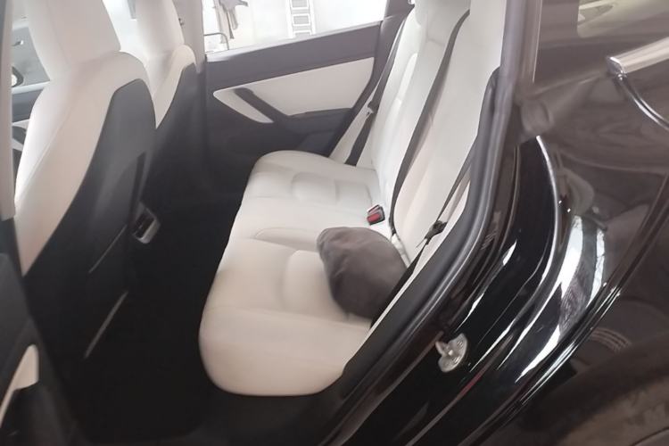 Used Tesla Model 3 2020 Standard Range Rear-Wheel Drive Upgraded Version Left Rear Seat