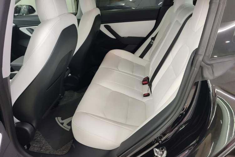 Used Tesla Model 3 2020 Standard Range Rear-Wheel Drive Upgraded Version Left Rear Seat