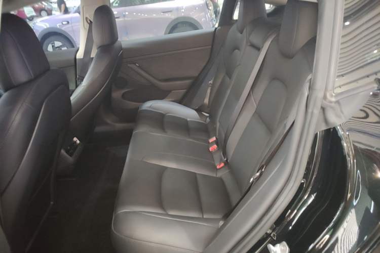 Used Tesla Model 3 2020 Refreshed Version Long-Range Rear-Wheel Drive Left Rear Seat