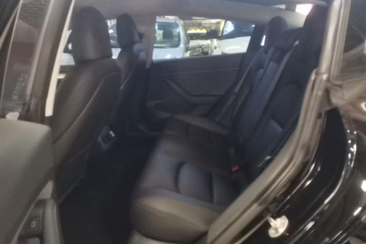 Used Tesla Model 3 2020 Standard Range Rear-Wheel Drive Upgraded Version Left Rear Seat