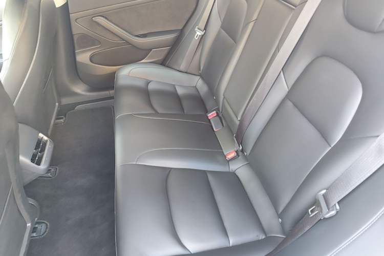 Used Tesla Model 3 2020 Standard Range Rear-Wheel Drive Upgraded Version Left Rear Seat