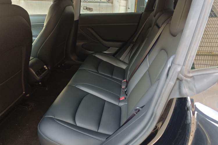 Used Tesla Model 3 2020 Revised Version Standard Range Rear-Wheel Drive – Upgraded Edition Left Rear Seat