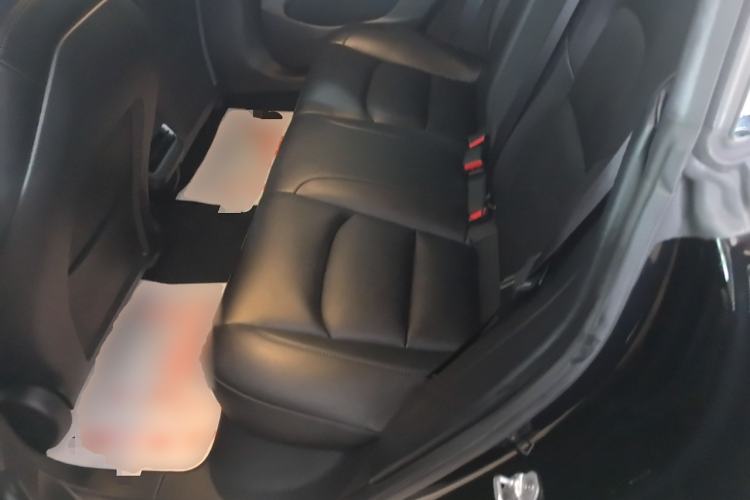 Used Tesla Model 3 2020 Revised Version Standard Range Rear-Wheel Drive – Upgraded Edition Left Rear Seat