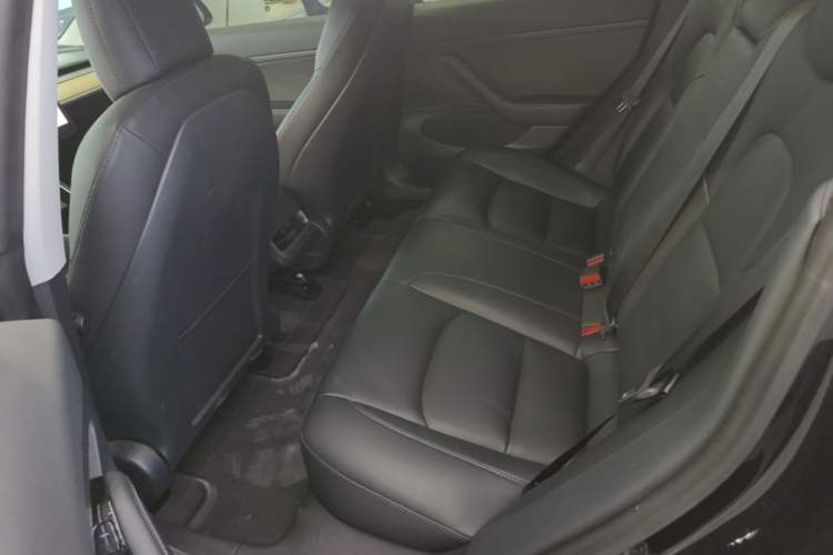 Used Tesla Model 3 2020 Standard Range Rear-Wheel Drive Upgraded Version Left Rear Seat