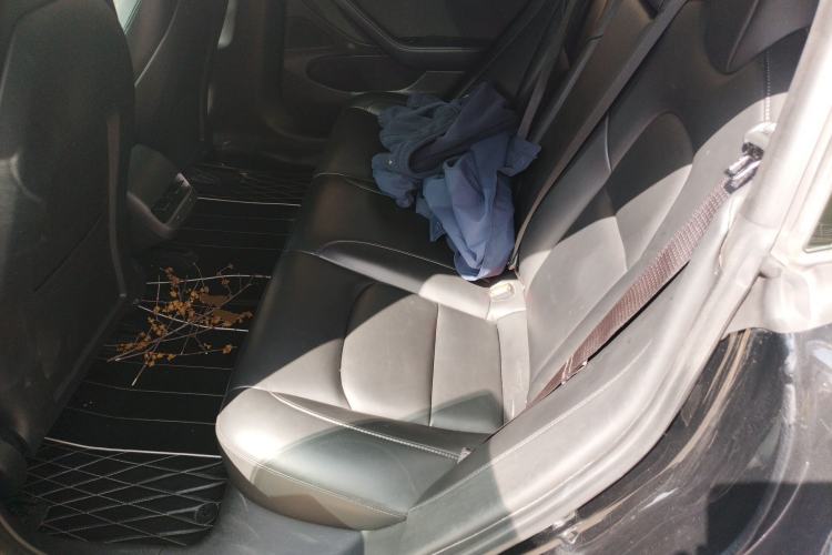 Used Tesla Model 3 2020 Standard Range Rear-Wheel Drive Upgraded Version Left Rear Seat