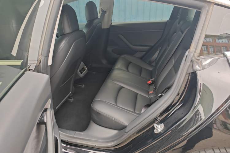 Used Tesla Model 3 2020 Standard Range Rear-Wheel Drive Upgraded Version Left Rear Seat