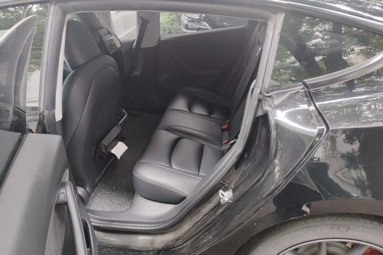 Used Tesla Model 3 2020 Revised Version Standard Range Rear-Wheel Drive – Upgraded Edition Left Rear Seat
