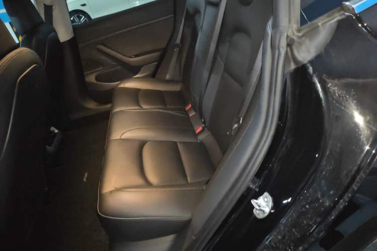 Used Tesla Model 3 2020 Revised Version Standard Range Rear-Wheel Drive – Upgraded Edition Left Rear Seat