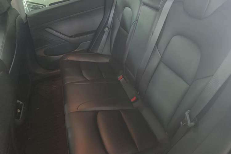 Used Tesla Model 3 2020 Standard Range Rear-Wheel Drive Upgraded Version Left Rear Seat