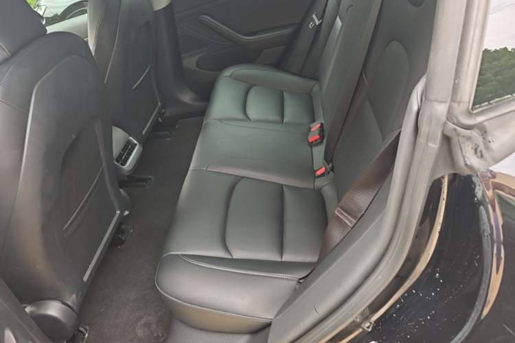 Used Tesla Model 3 2020 Standard Range Rear-Wheel Drive Upgraded Version Left Rear Seat