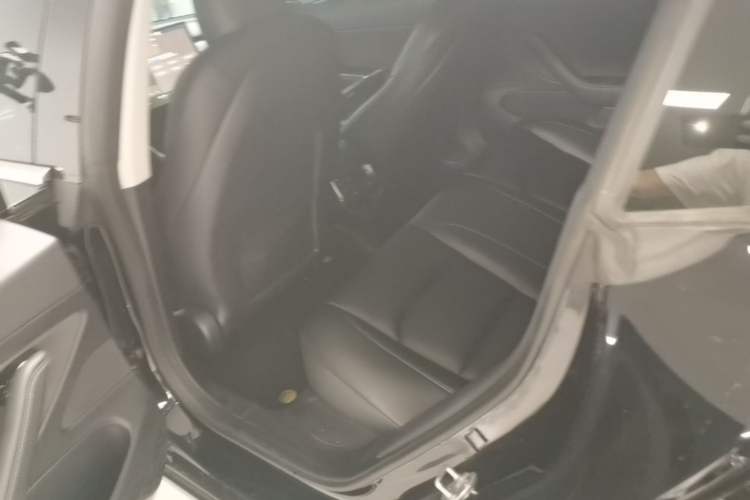 Used Tesla Model 3 2020 Standard Range Rear-Wheel Drive Upgraded Version Left Rear Seat