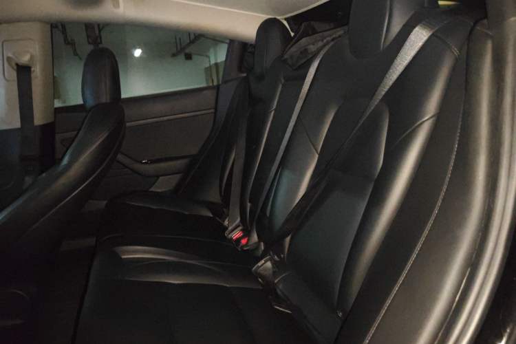 Used Tesla Model 3 2020 Standard Range Rear-Wheel Drive Upgraded Version Left Rear Seat