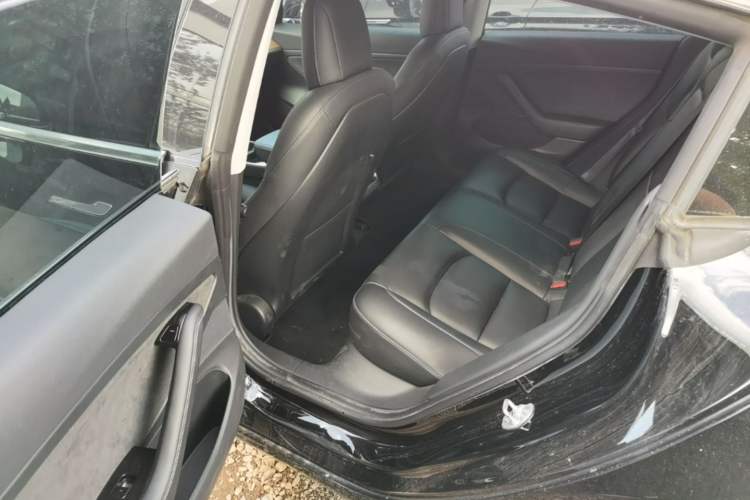 Used Tesla Model 3 2020 Revised Version Standard Range Rear-Wheel Drive – Upgraded Edition Left Rear Seat