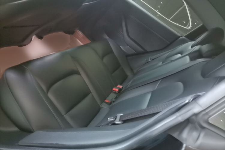 Used Tesla Model 3 2020 Revised Version Standard Range Rear-Wheel Drive – Upgraded Edition Left Rear Seat