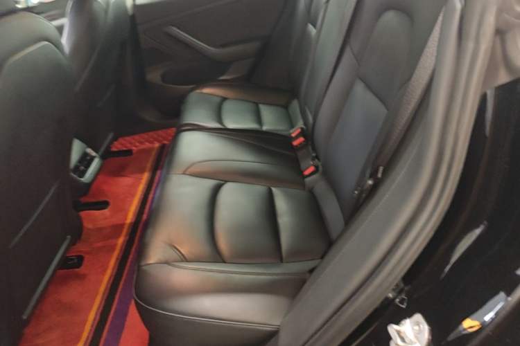 Used Tesla Model 3 2020 Revised Version Standard Range Rear-Wheel Drive – Upgraded Edition Left Rear Seat