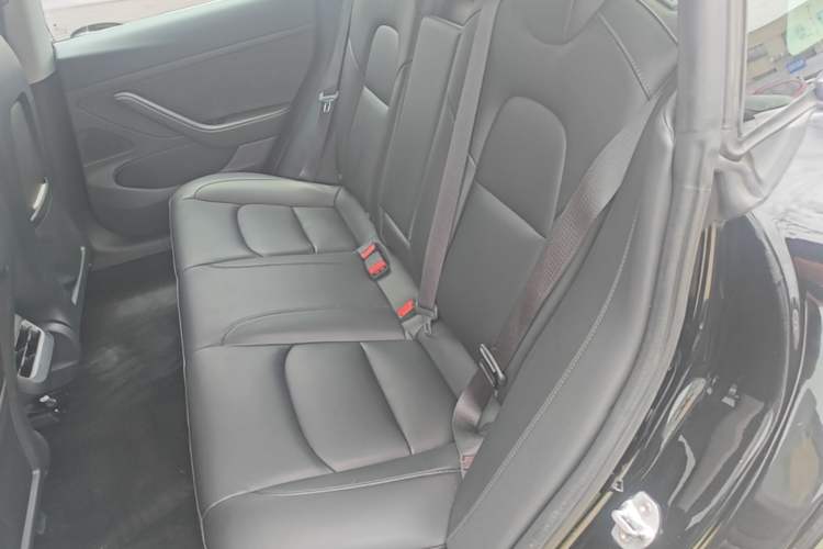 Used Tesla Model 3 2020 Standard Range Rear-Wheel Drive Upgraded Version Left Rear Seat