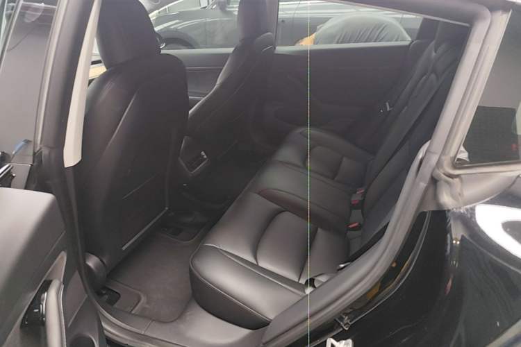 Used Tesla Model 3 2020 Standard Range Rear-Wheel Drive Upgraded Version Left Rear Seat
