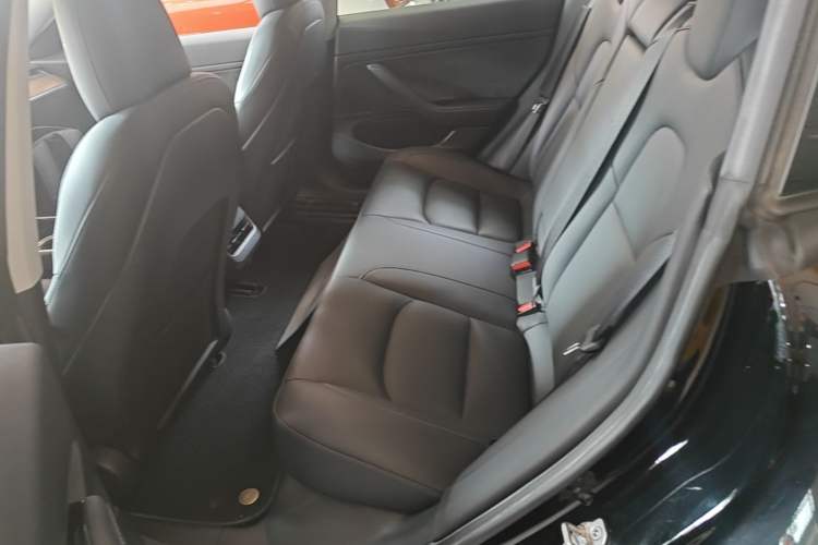 Used Tesla Model 3 2020 Revised Version Standard Range Rear-Wheel Drive – Upgraded Edition Left Rear Seat