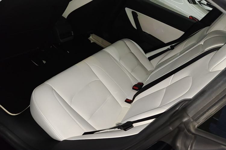 Used Tesla Model 3 2020 Revised Version Standard Range Rear-Wheel Drive – Upgraded Edition Left Rear Seat